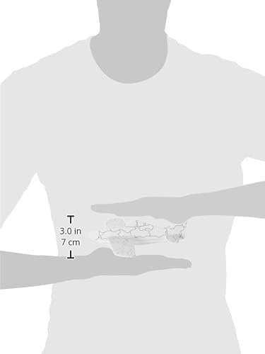 Galt Glider Planes Craft Kit - 4 Foam Plane Toys for Kids Ages 5+