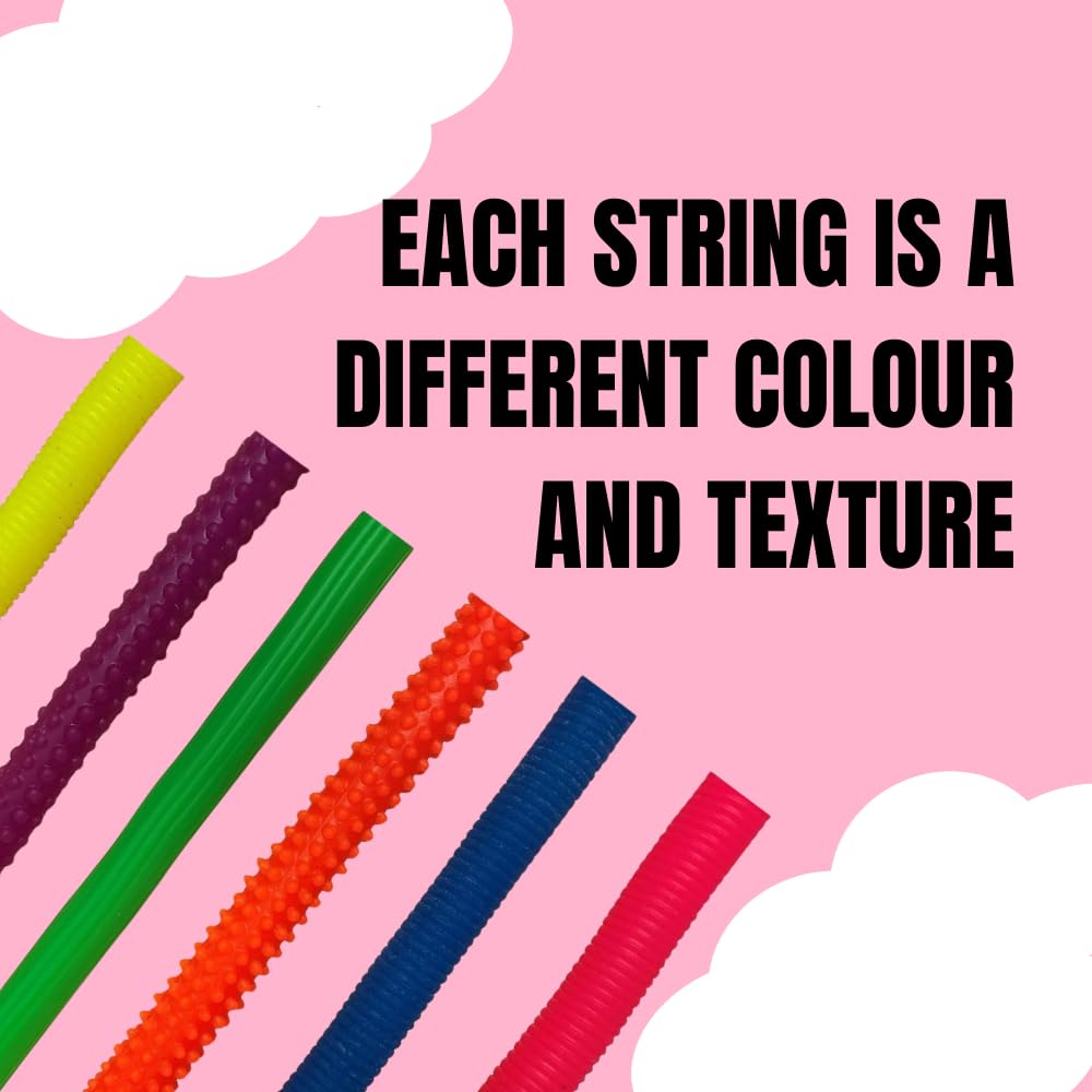 Playlearn Sensory Fidget Textured Elastic Stretchy Snakes - 6 Pack for Kids 3+