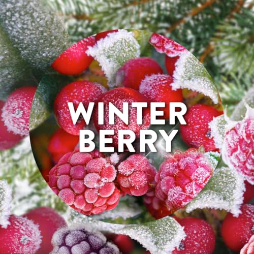 Air Wick - Winter Berry Wonderland Plug-in Scented Oil Refills (19ml)