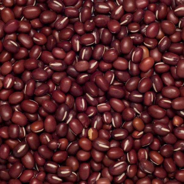 Wholefood Earth Organic Aduki Beans 1kg | Vegan, GMO Free, High Fibre | Certified Organic