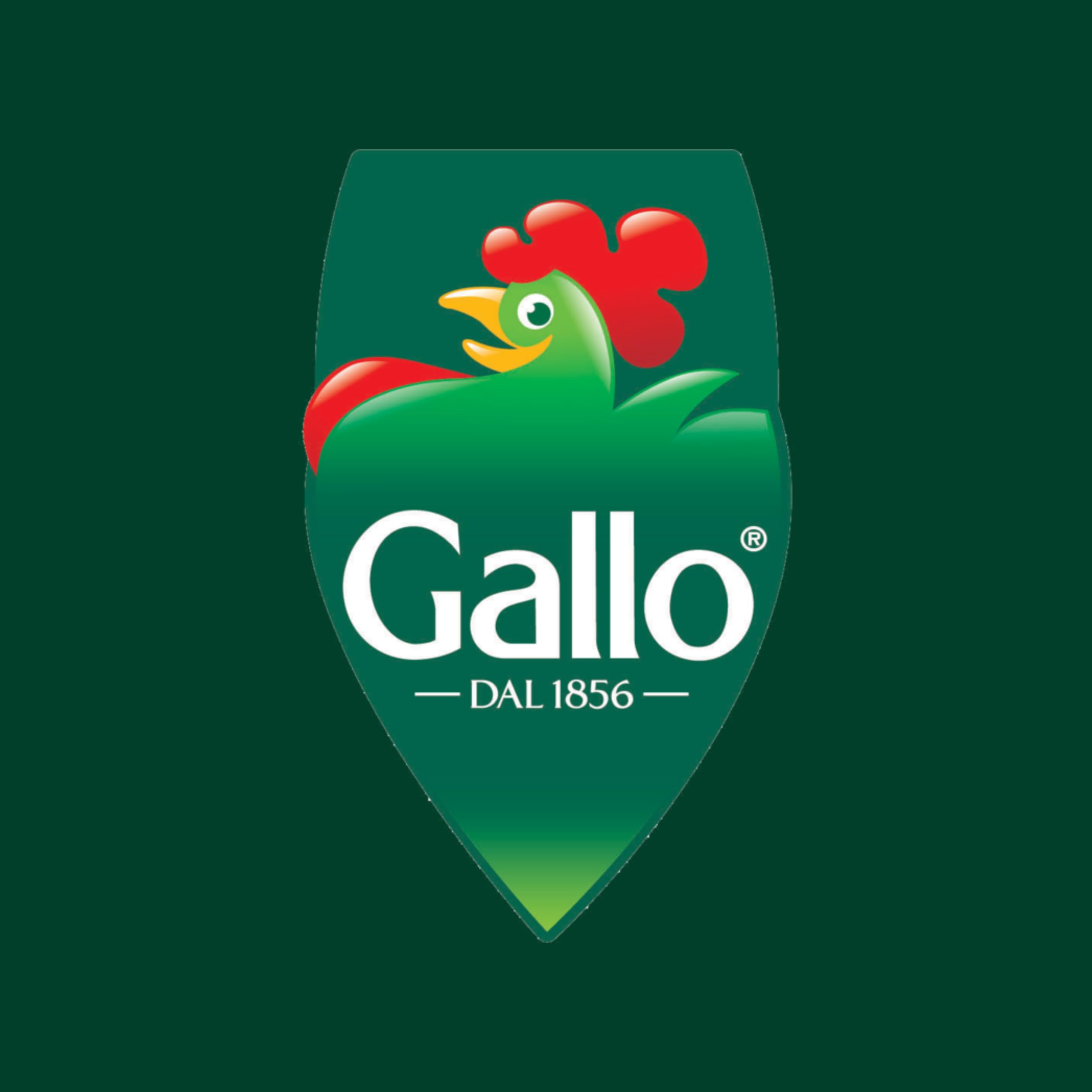 Riso Gallo - Easy Cook Rice 500 g
