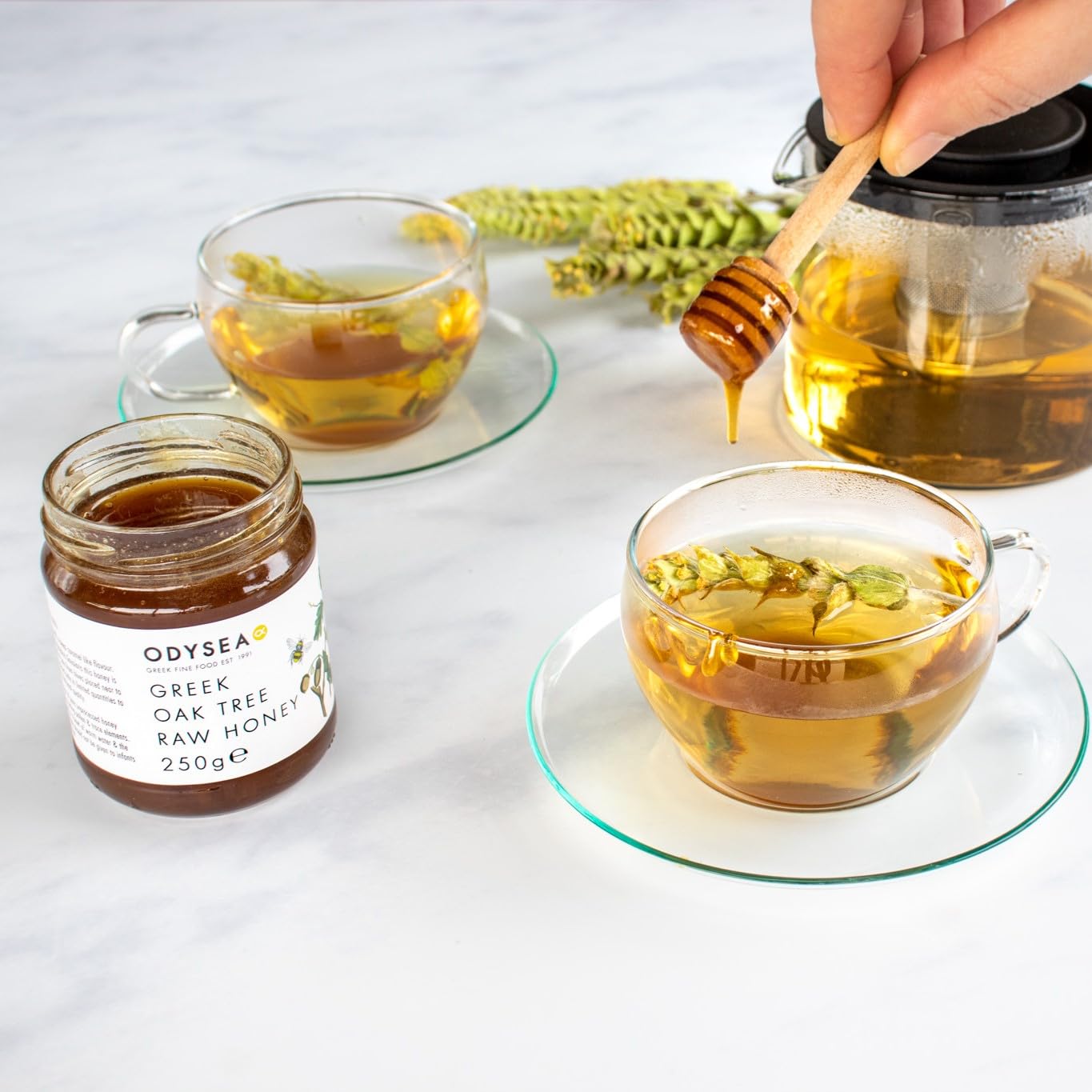 Odysea Pine & Fir Tree Honey, 480g – 100% Pure Raw Greek Honey