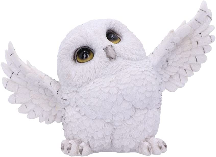 Nemesis Now Snowy Delight - Owl Figurine in White Resin