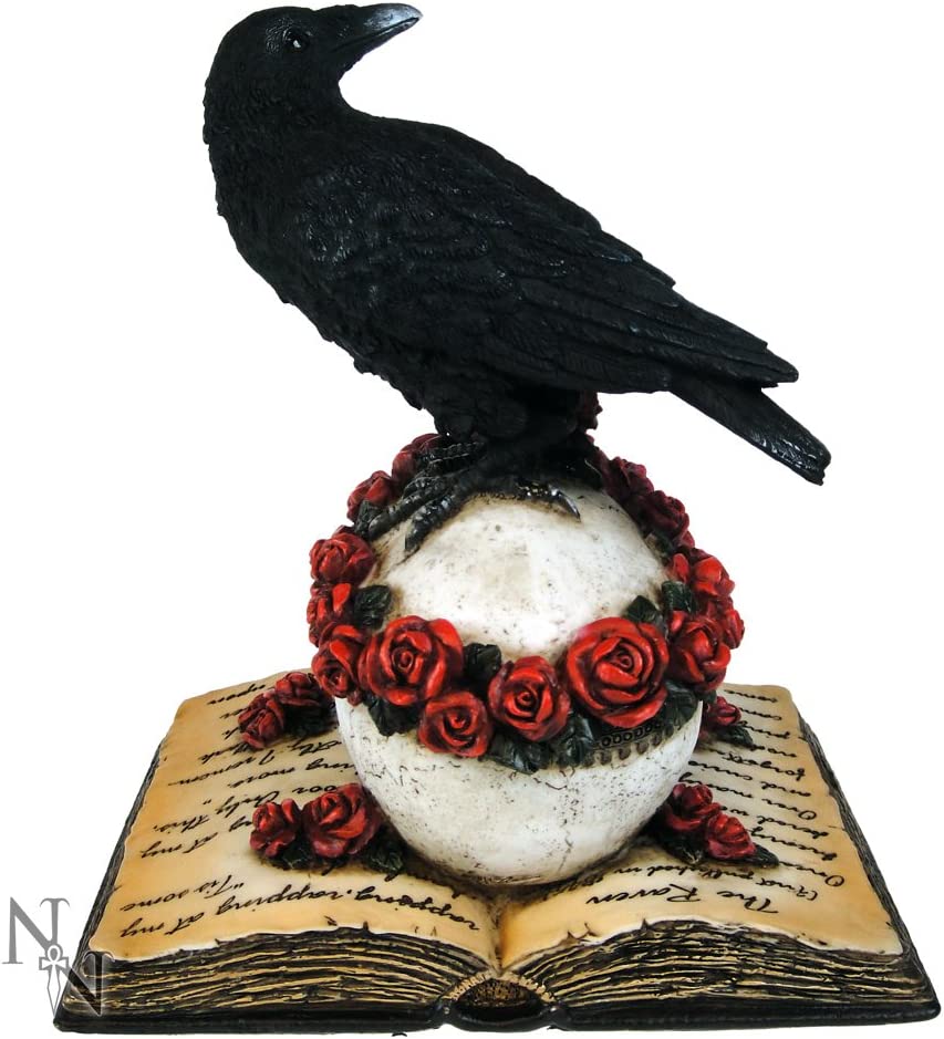 Nemesis Now Heartaches Reflection - Raven Skull Book Figurine in Black Resin