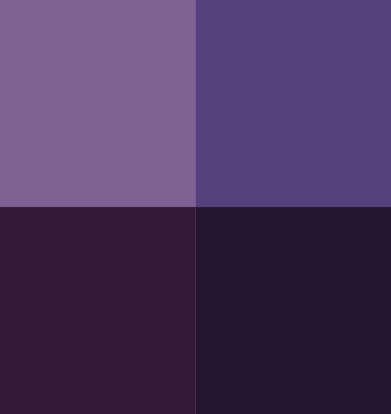 Vallejo Game Color Acrylic Paint Set - Purple Colors (4 x 18ml Bottles) 4