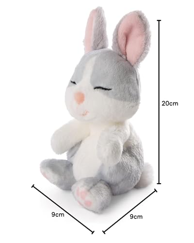 NICI Sleeping Pets Bunny - Soft Plush Toy in Green Basket, 12cm 9