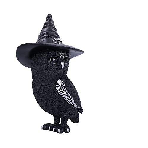 Nemesis Now Owlocen Witch Owl Figurine (B5904V2)