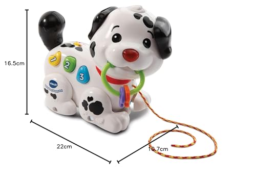 VTech Pull Along Puppy Pal - Interactive Musical Walker for Babies 6 Months+ 9
