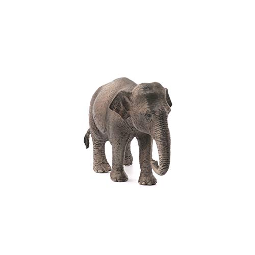 Schleich Wildlife Asian Elephant - Female Animal Figure (14753)