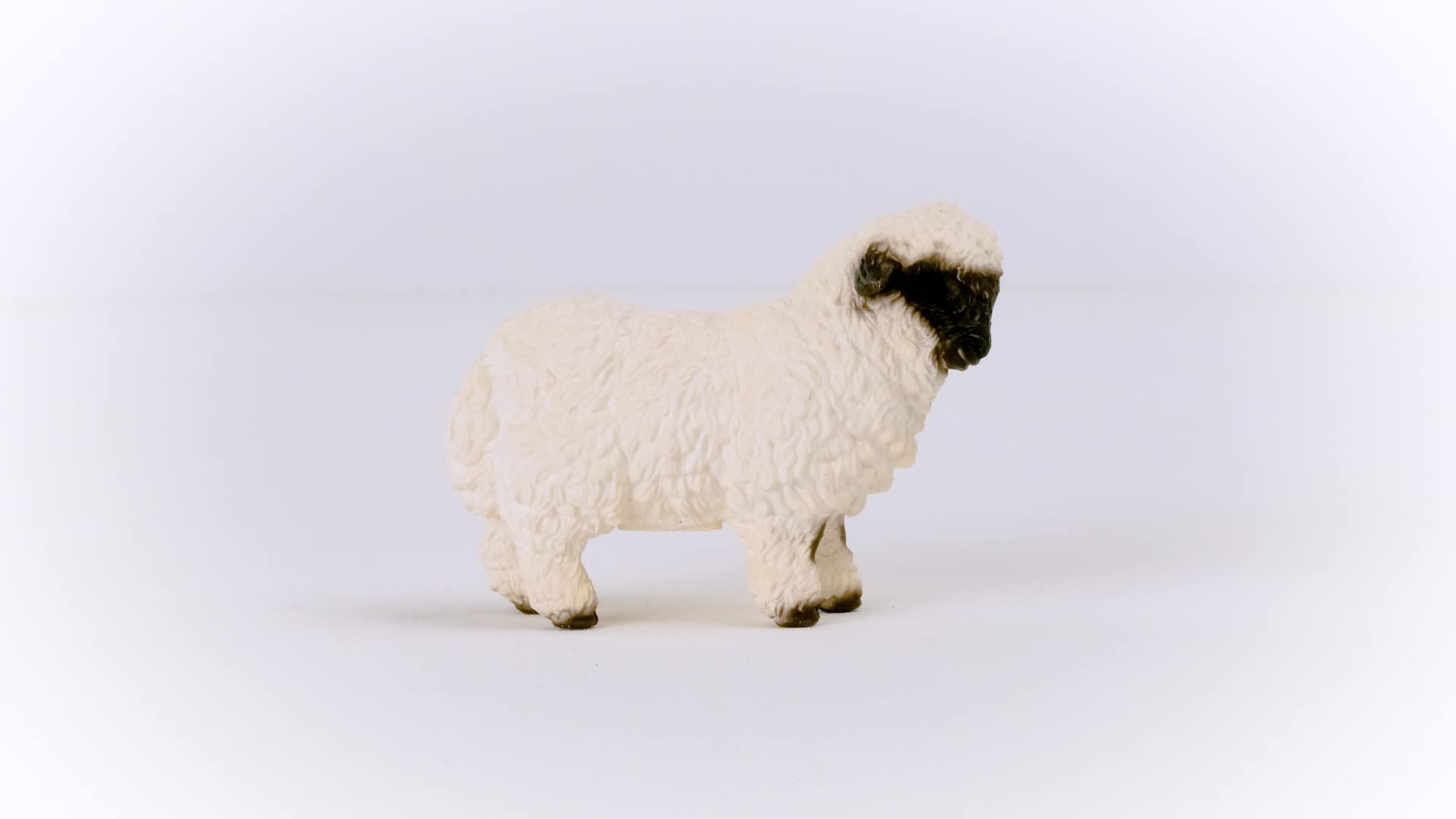 Schleich Valais Black-nosed Sheep Figurine - Farm World | Ages 3-8 | Plastic 5