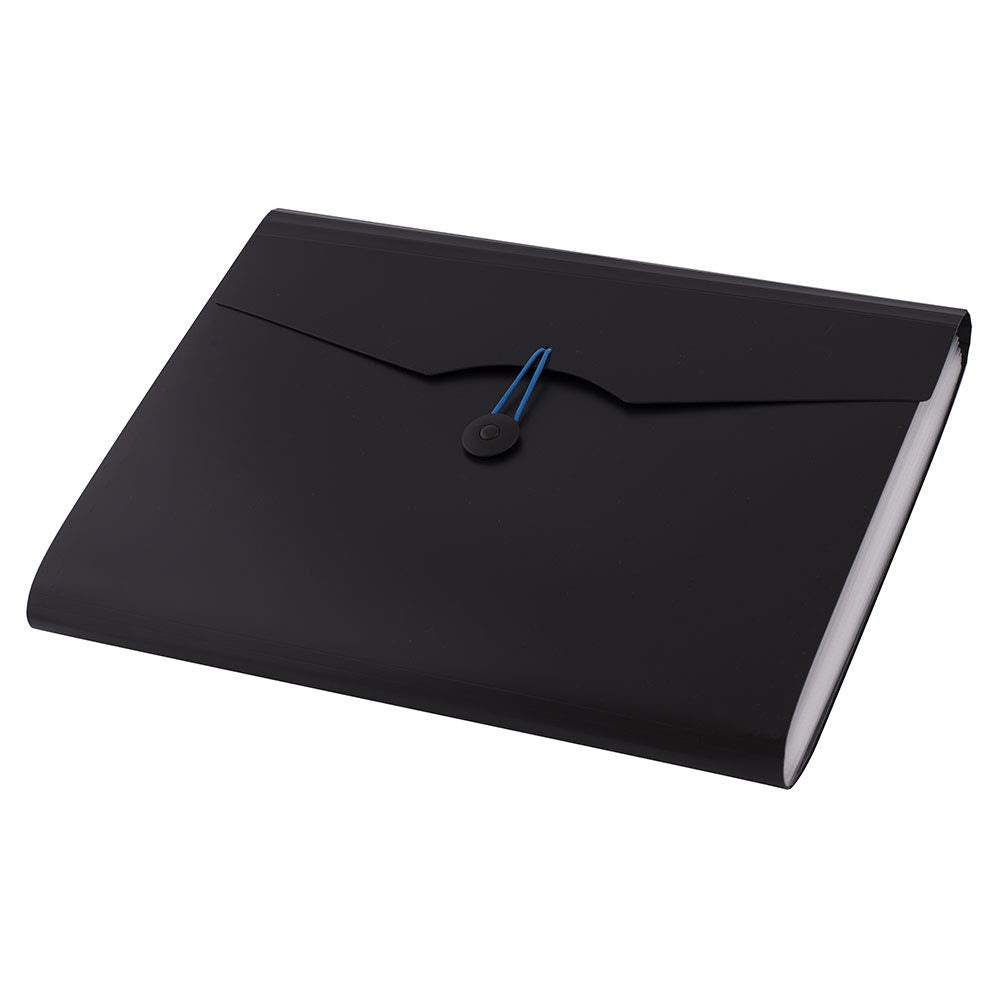 D.RECT Expanding File Organiser - 12 Compartments | A4 Size | Black Polypropylene