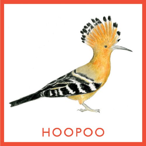 Bird Bingo (Magma for Laurence King) 5