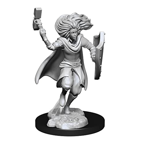 Changeling Cleric Male Nozur's Marvelous Miniatures - WizKids/NECA (Unpainted Miniatures, 2-Pack)