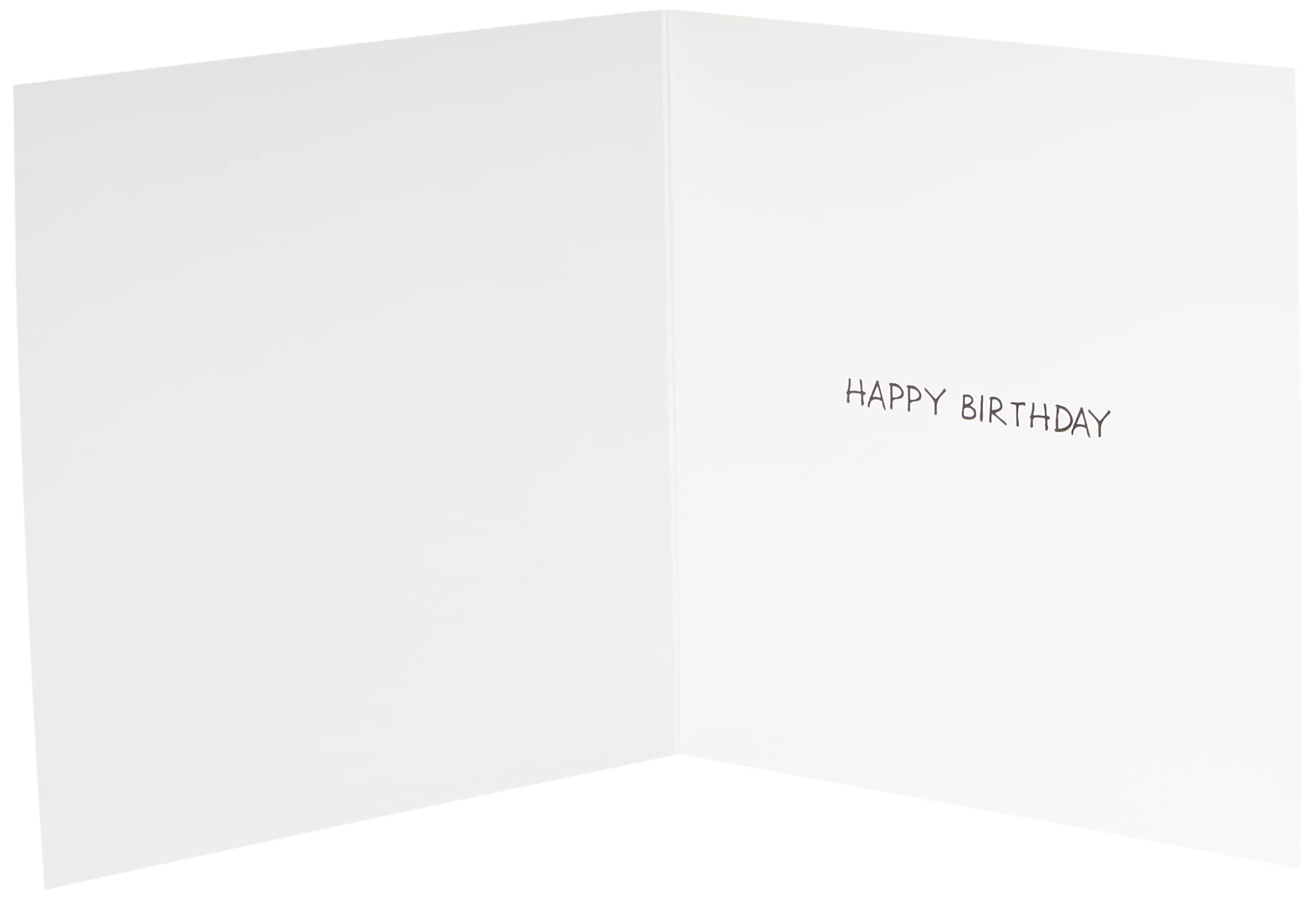 Emotional Rescue Norbert & Val Funny Birthday Card for Him - Create Password | 24 cm x 16.5 cm 4