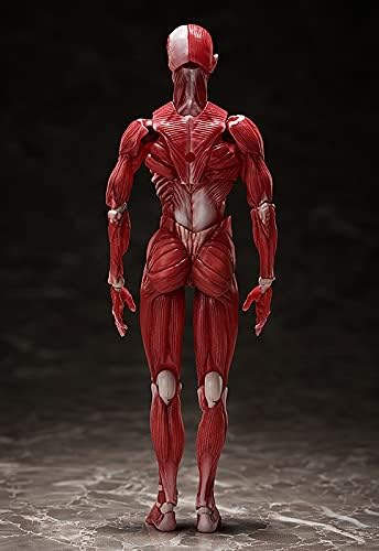 Good Smile Company Human Anatomical Model Figma Action Figure - Fully Articulated Educational Figure