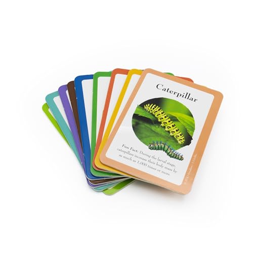 The Gruffalo Bug Spotter Activity Set - Nature Exploration for Kids 9