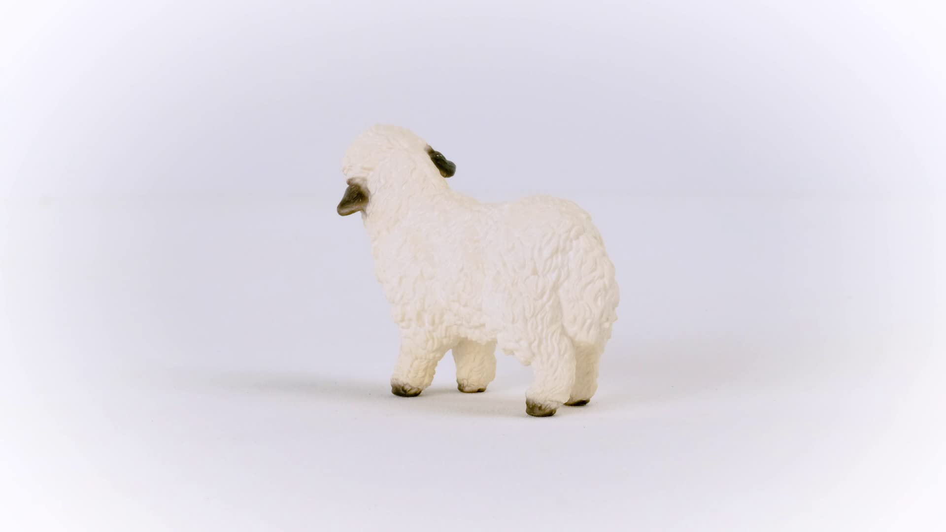 Schleich Valais Black-nosed Sheep Figurine - Farm World | Ages 3-8 | Plastic 6