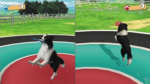 Fun! Fun! Animal Park - Nintendo Switch 9