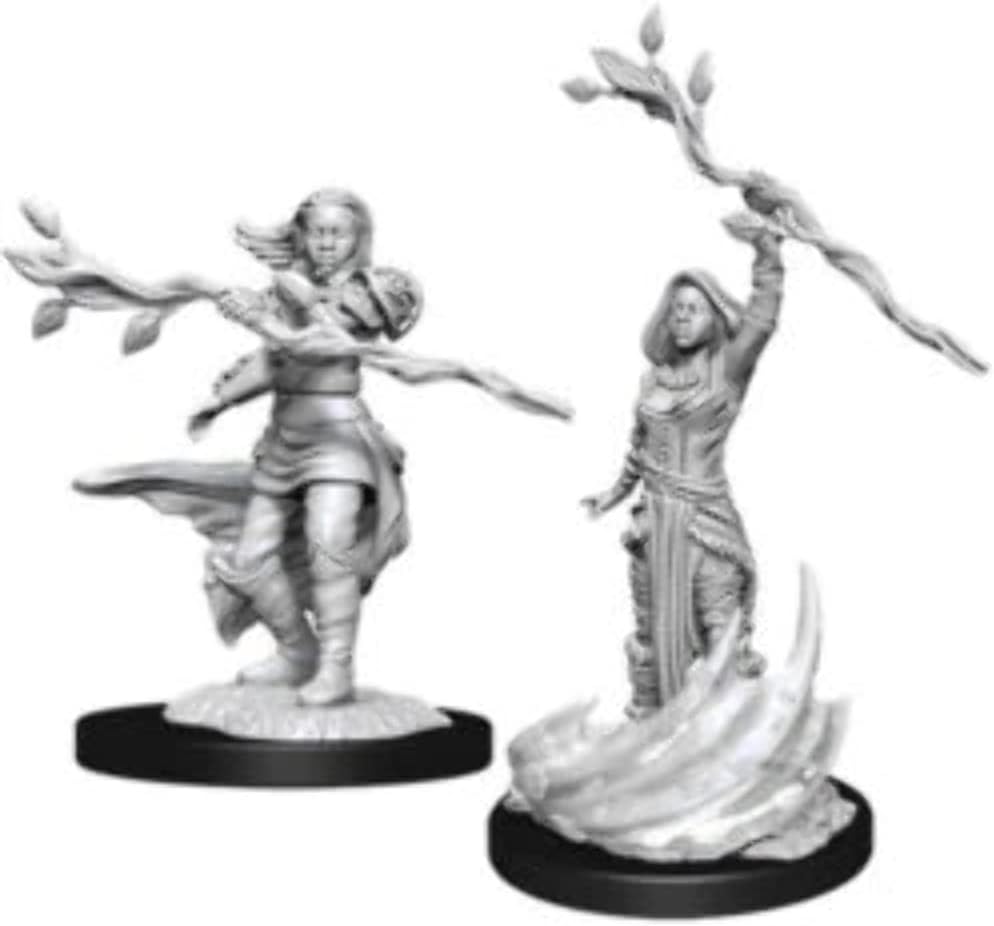 WizKids Druid (V2) Accessories (WK72639)