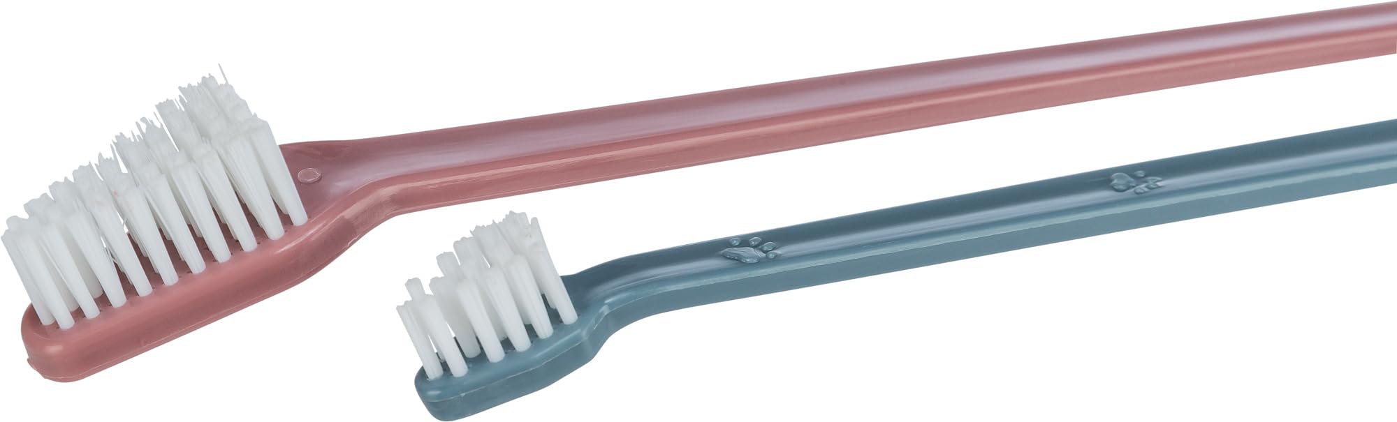 TRIXIE Toothbrush Set for Dogs and Cats | 4 Pack | 23 cm Length 3