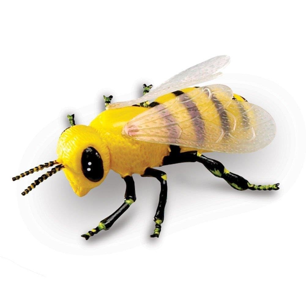 Learning Resources Jumbo Insects Toy Set for Ages 3-7 | Durable Plastic Figures 7
