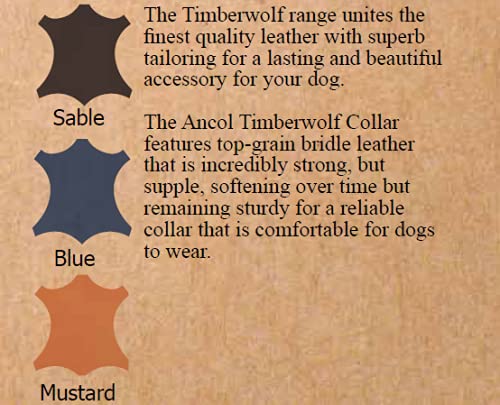 Ancol Timberwolf Leather Dog Collar - Sable | Size 4 (35-43 cm Neck) 3