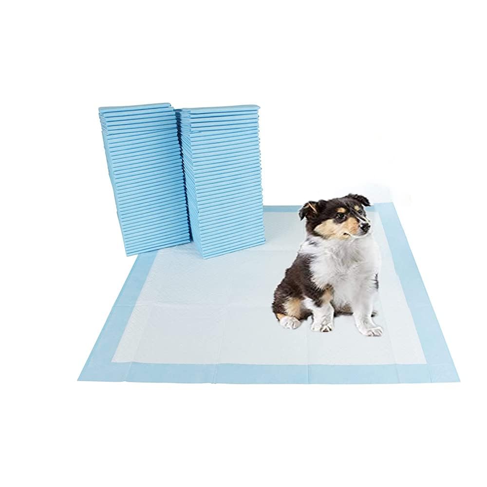BARGAIN FACTORY Pet Potty Training Pads - 50 Pack | Super Absorbent | 56x56cm Size 2