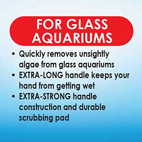 API Algae Scraper for Glass Aquariums - Extra Long Handle | Durable Scrubbing Pad | Model 21
