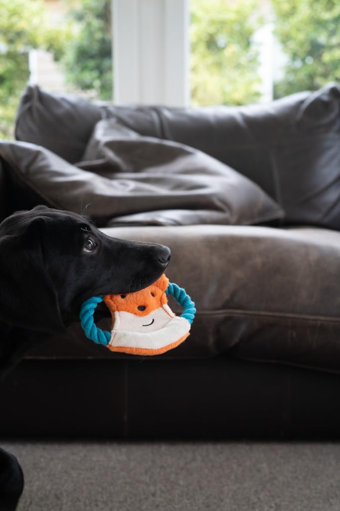 Petface Flingy Fox Flyer Dog Toy - Interactive Fetch & Tug Toy | Lightweight & Portable 6