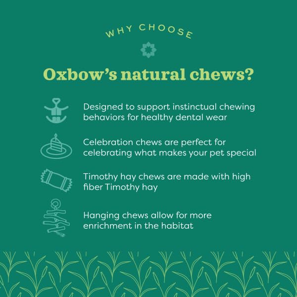 Oxbow Enriched Life Crunchy Carrot Chew Toy for Small Animals | Supports Chewing & Enrichment 3
