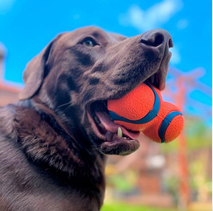 Chuckit! Ultra Tumbler Dog Ball - High Bounce Rubber Fetch Toy | Compatible with Launchers | Large