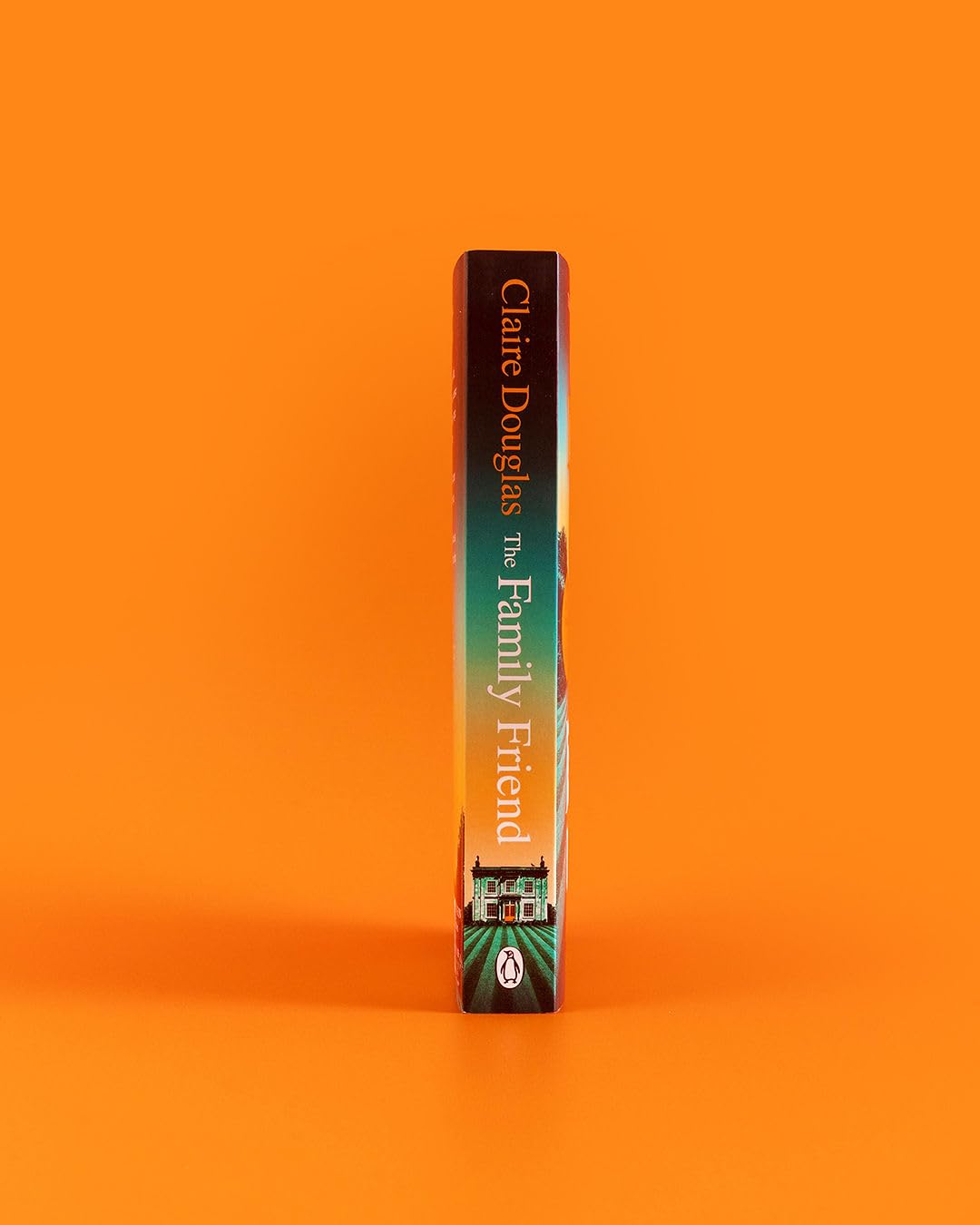 Douglas, Claire - The Family Friend | Paperback | Mystery Thriller 3