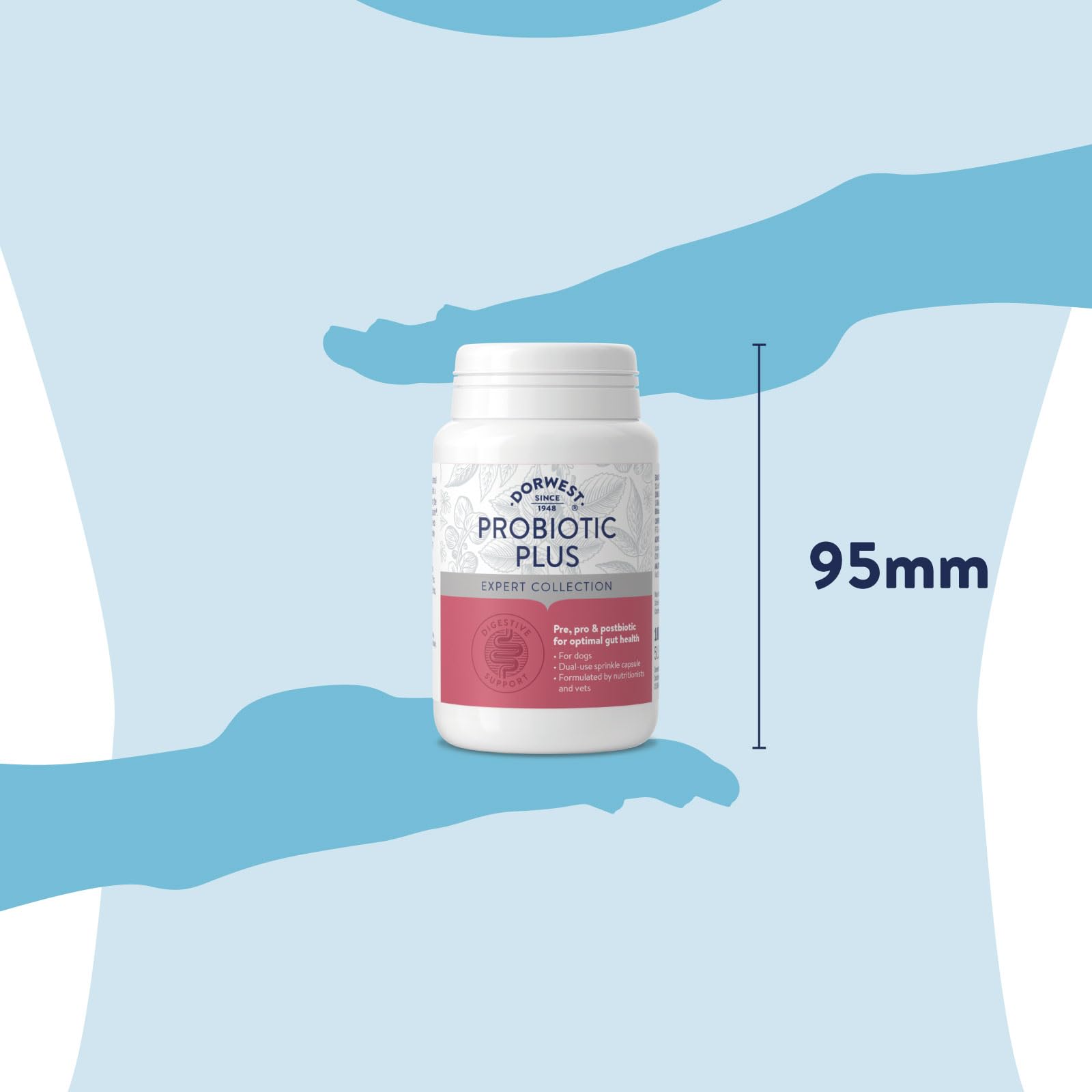 DORWEST HERBS Probiotic Plus for Dogs - Pre, Pro & Postbiotic Support | 100 Capsules
