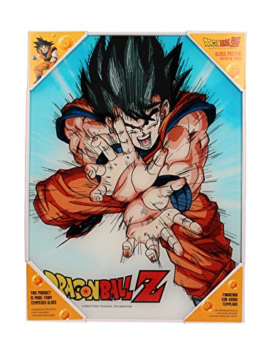 DRAGON BALL Z Goku Kame Glass Poster - 30x40 cm Collectible Display