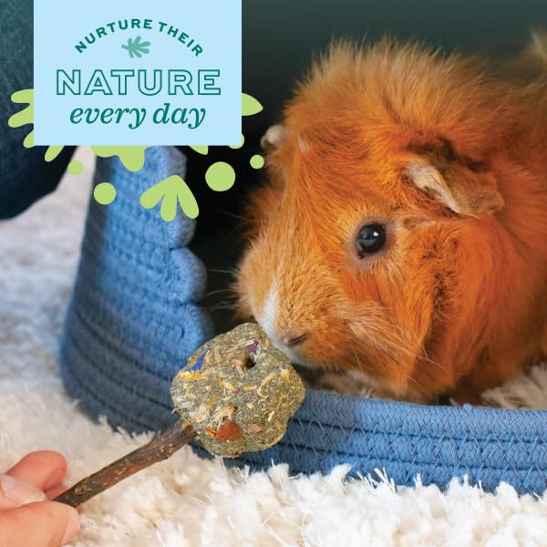 Oxbow Enriched Life Crunchy Carrot Chew Toy for Small Animals | Supports Chewing & Enrichment 4