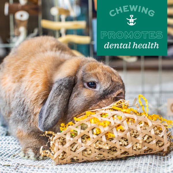 Oxbow Enriched Life Crunchy Carrot Chew Toy for Small Animals | Supports Chewing & Enrichment 6