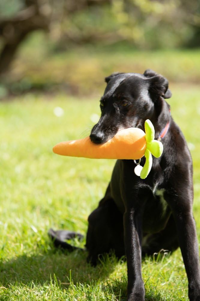 Petface Foodie Faces Fluffy Carrot Dog Toy - Squeaky, Plush, Indoor Play 3