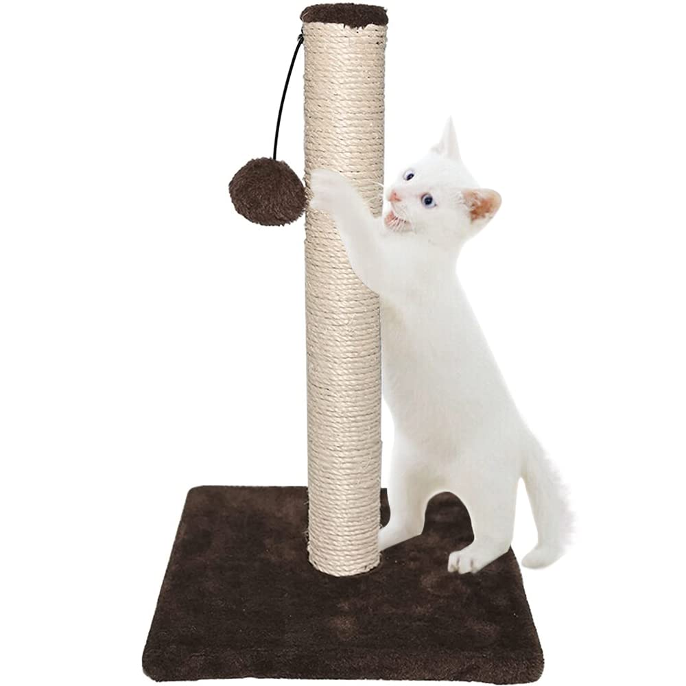 RAM ONLINE Cat Scratcher - 40cm Height, Plush Base, Dangly Ball | Indoor Use, Cats 1