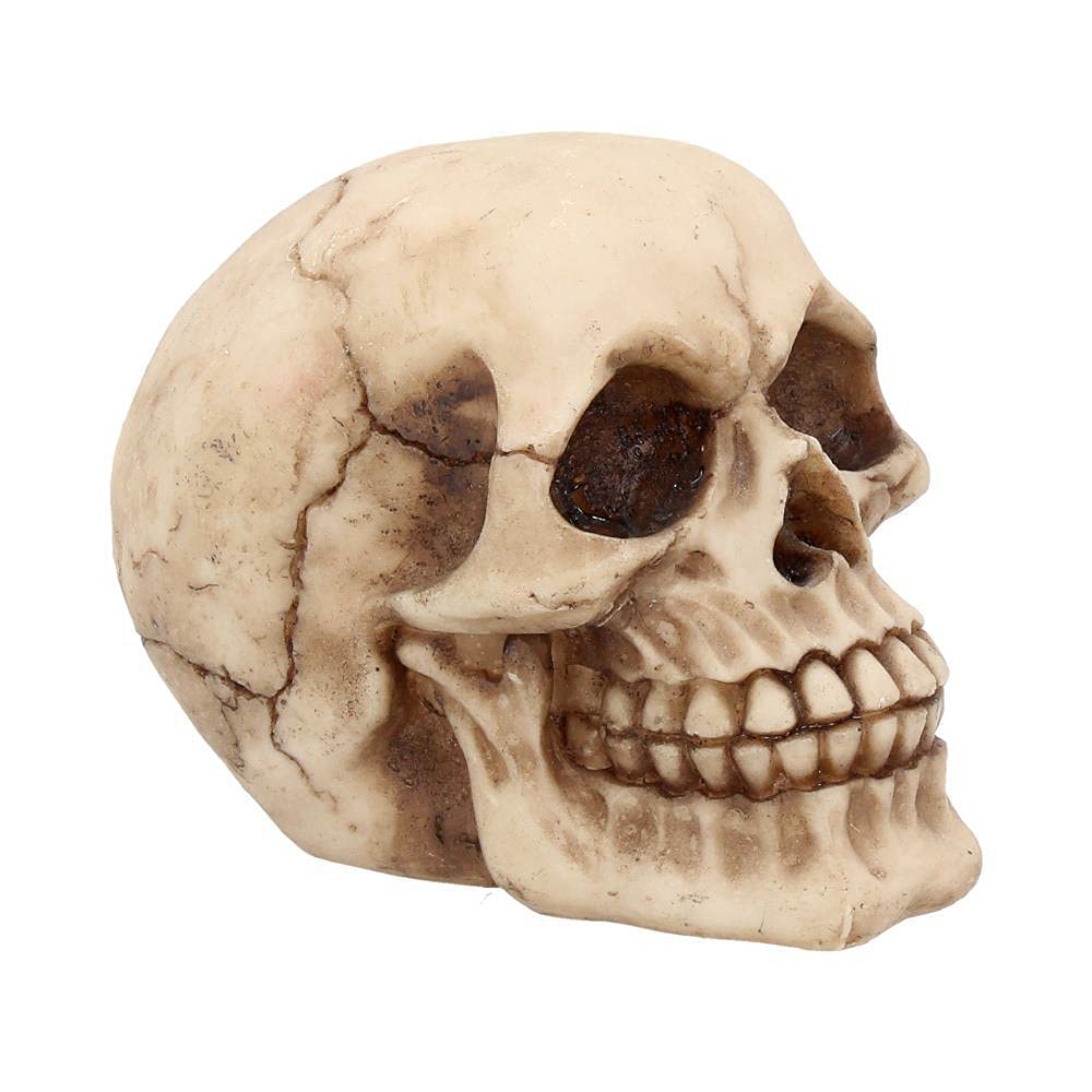 Nemesis Now Joker-Totenkopf, dekoratives Ornament aus Kunstharz 1