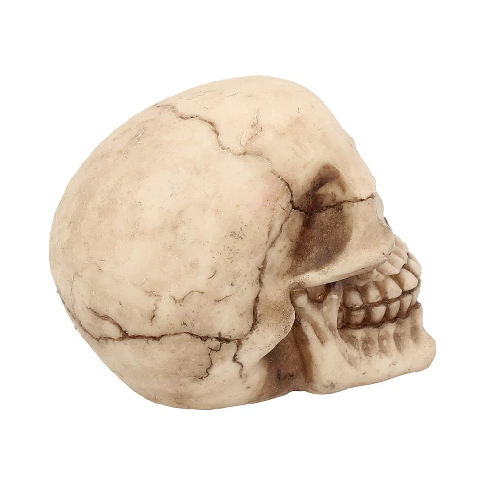 Nemesis Now Joker-Totenkopf, dekoratives Ornament aus Kunstharz 6
