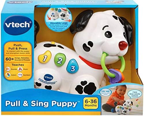 VTech Pull Along Puppy Pal - Interactive Musical Walker for Babies 6 Months+
