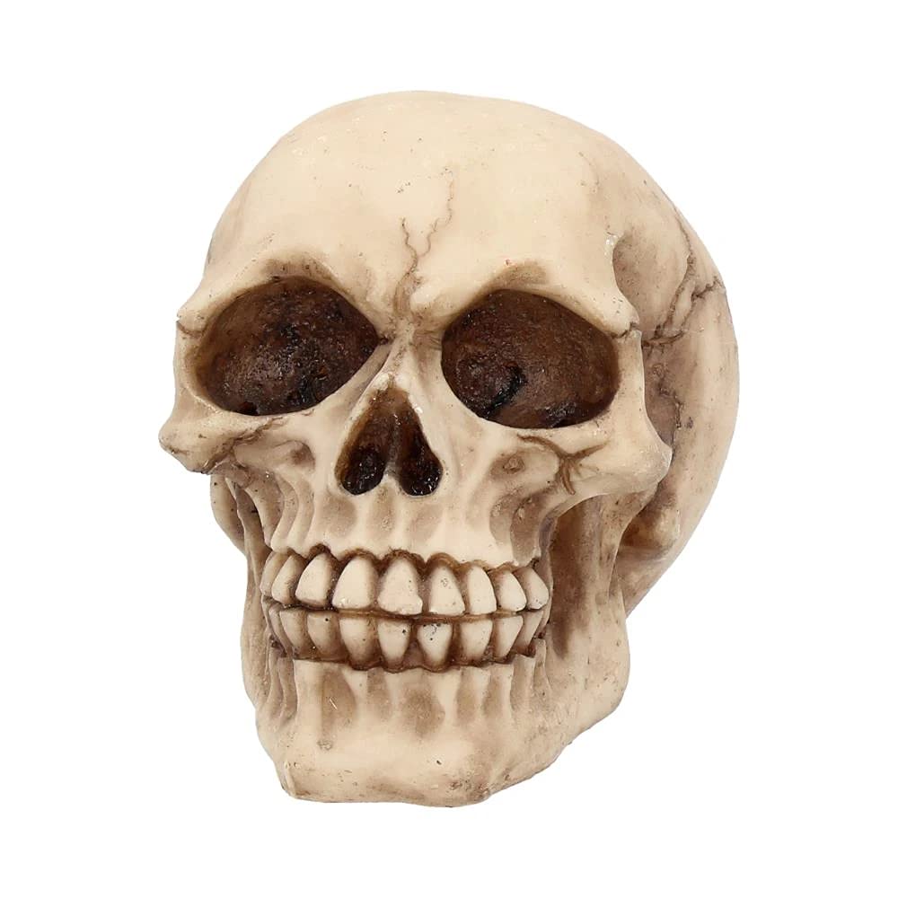 Nemesis Now Joker-Totenkopf, dekoratives Ornament aus Kunstharz 2