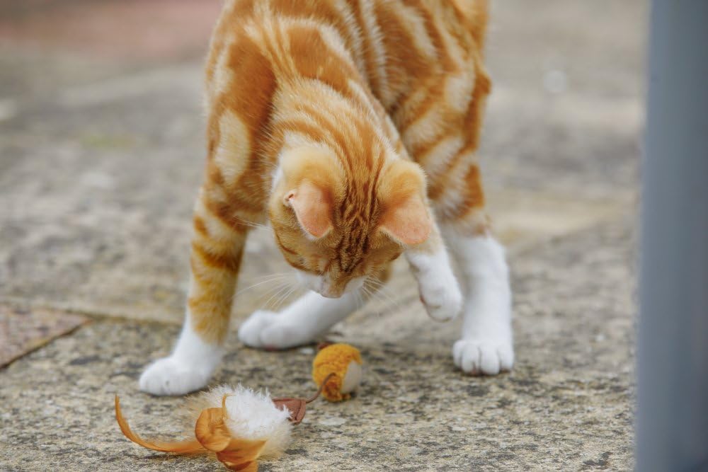 Petface Feather Tail Mice Cat Toys - Pack of 2 | Catnip Scented | Lightweight 6