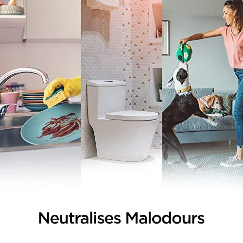 Air Wick - Eucalyptus Odour Neutralising Air Spray | Pack of 4