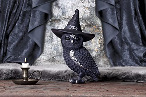 Nemesis Now Owlocen Witch Owl Figurine (B5904V2)