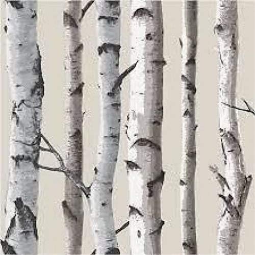 Brewster - Birch Tree Wallpaper Natural Wallpaper (FD31051)