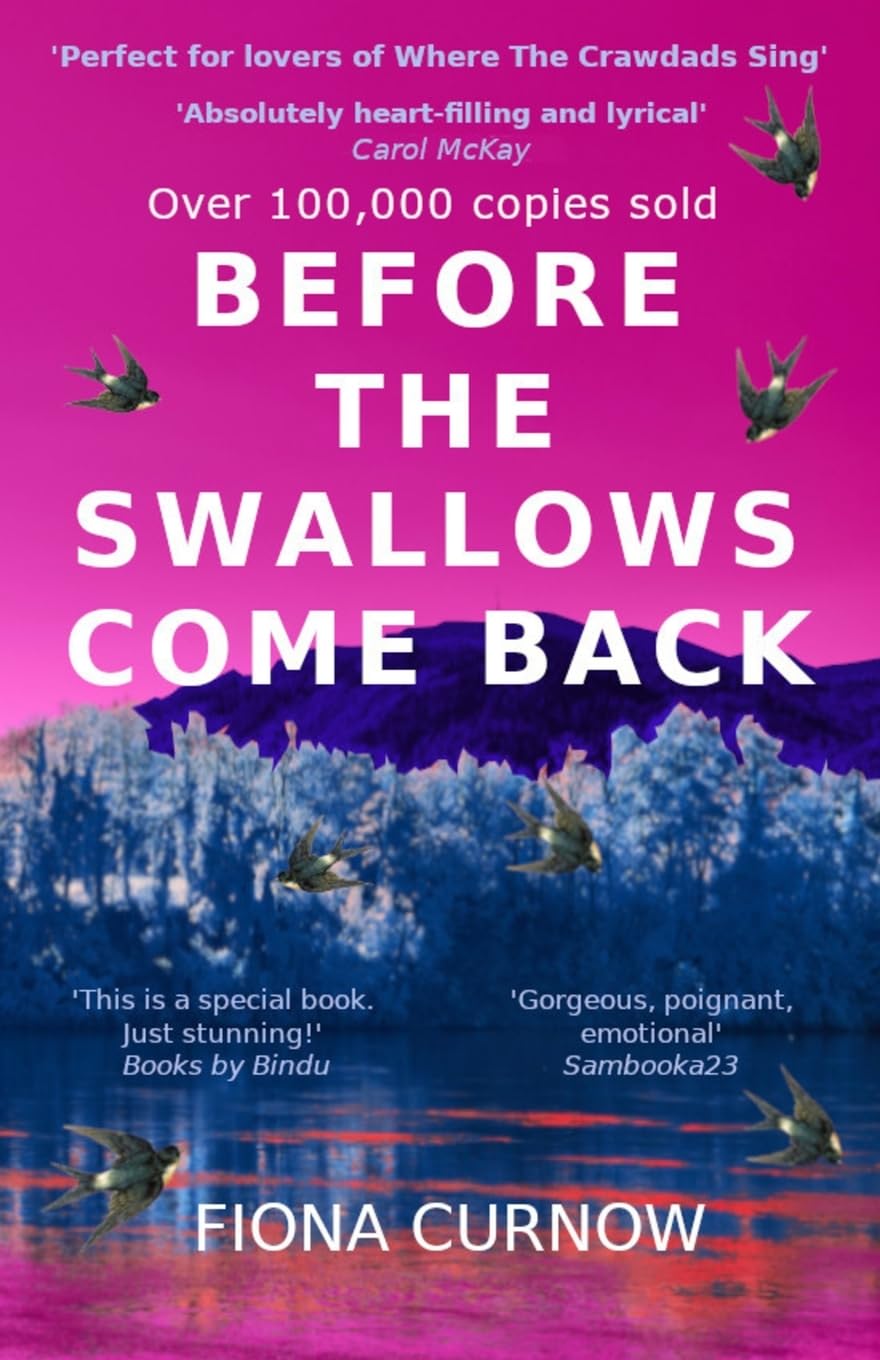 Before the Swallows Come Back by Fiona Curnow - Women's Literary Fiction | Paperback 1