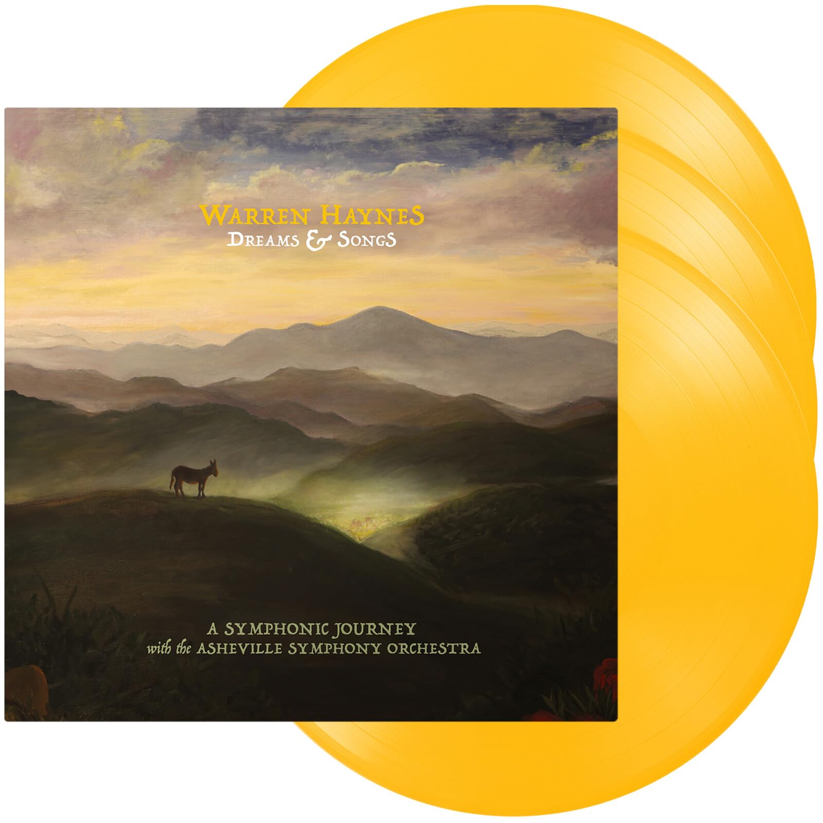 Warren Haynes - Dreams & Songs [3LP Vinyl Box Set] 1