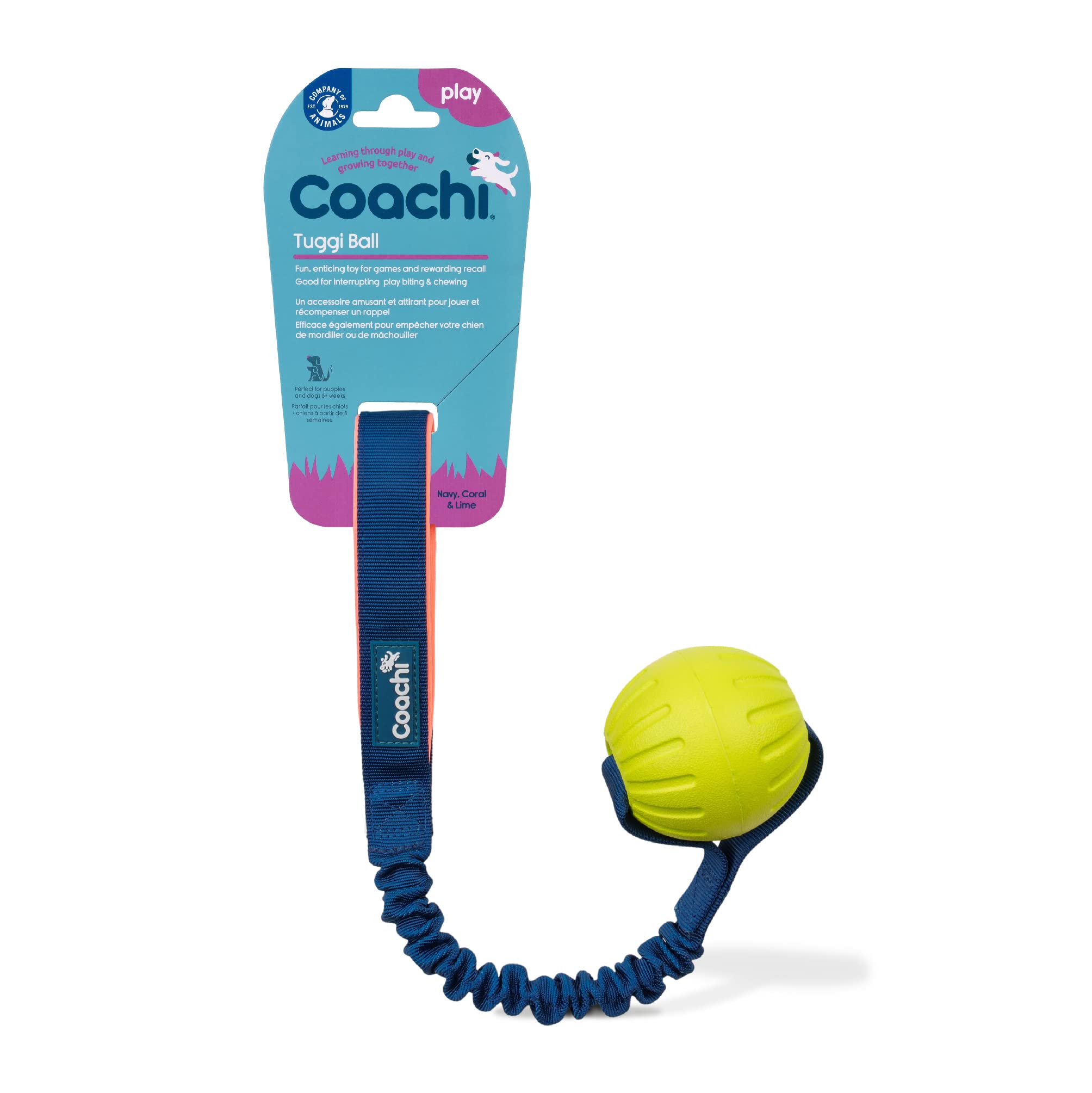 Coachi Tuggi Ball - Interactive Dog Toy for Tug of War & Fetch | Bungee Handle | Navy, Coral & Lime