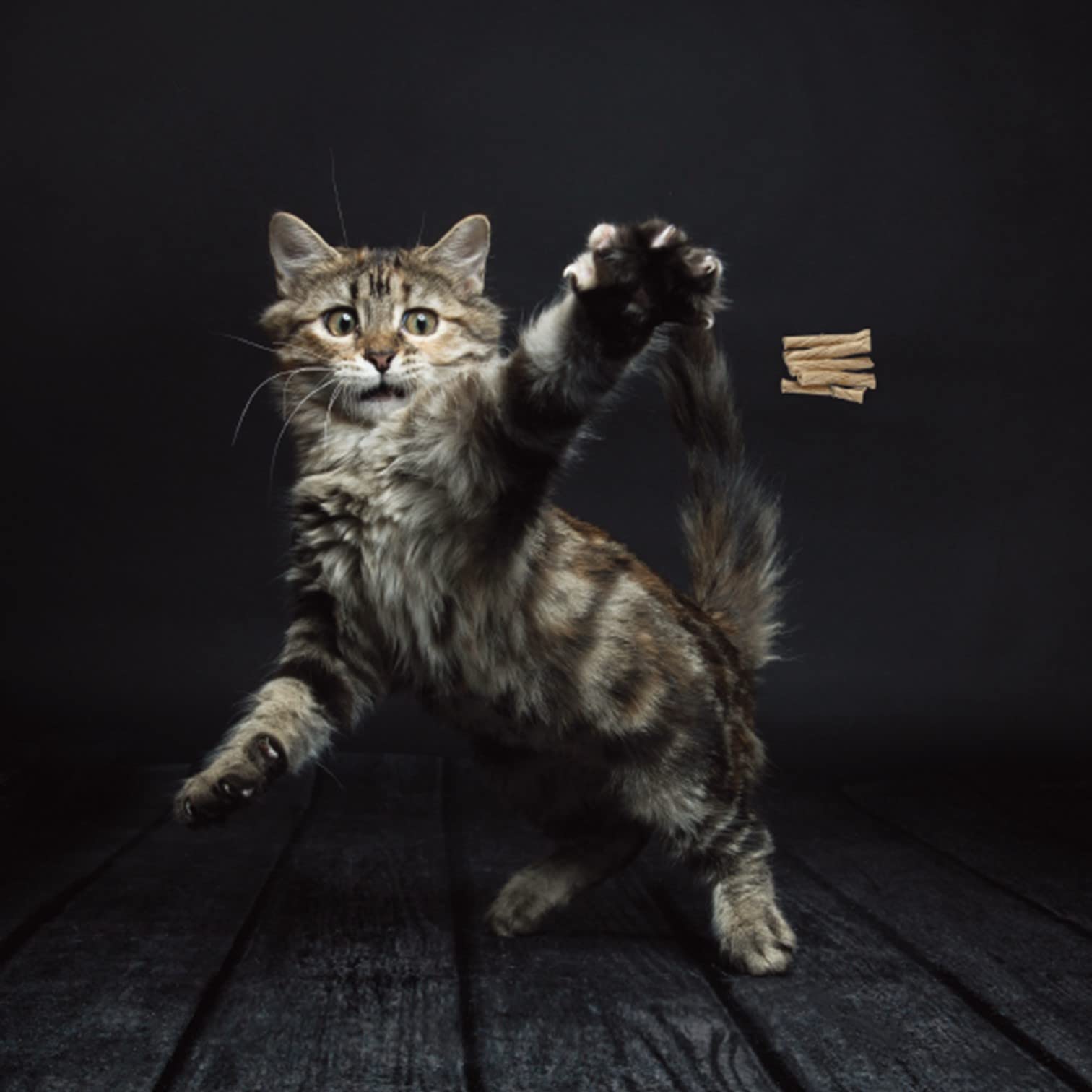CAT DANCER Interactive Cat Toy - Cardboard, Stick Form, Portable 2